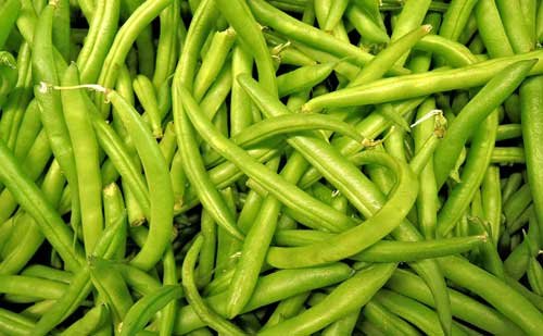 Human Food For Cats - Green beans