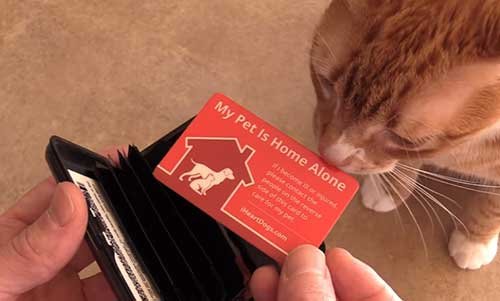 Household Hazards For Cats - Smaller Stickers
